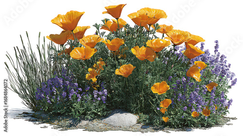Vibrant Orange And Purple Flowers On A Transparent Background