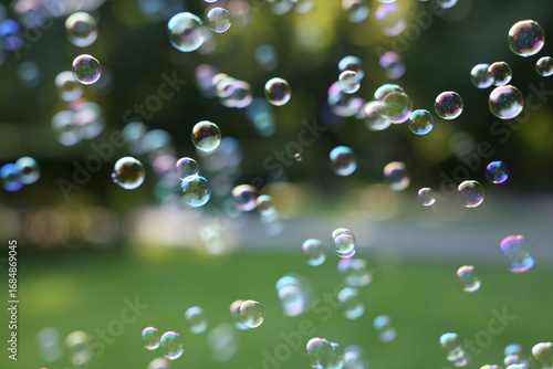 Wallpaper Mural Many beautiful transparent soap bubbles floating outdoors Torontodigital.ca