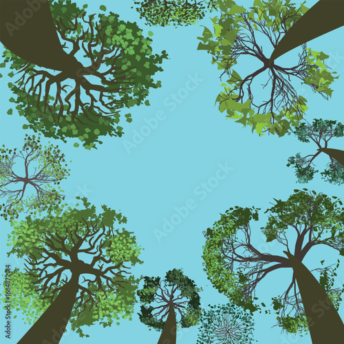 A view from below of the blue sky surrounded by trees stretching upward. Vector illustration. Look up. Place for text