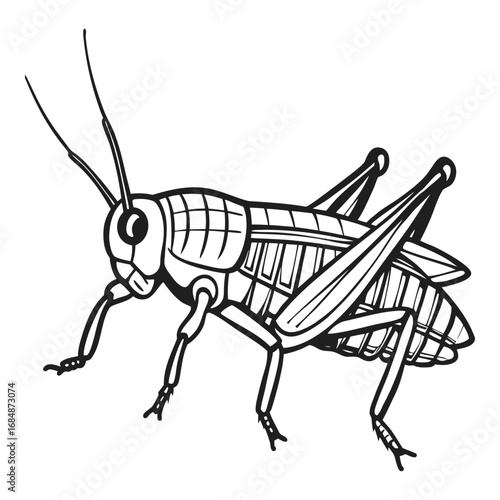 Detailed sketch of a grasshopper in profile showing its anatomy and long antennae perfect for nature and science themes vector