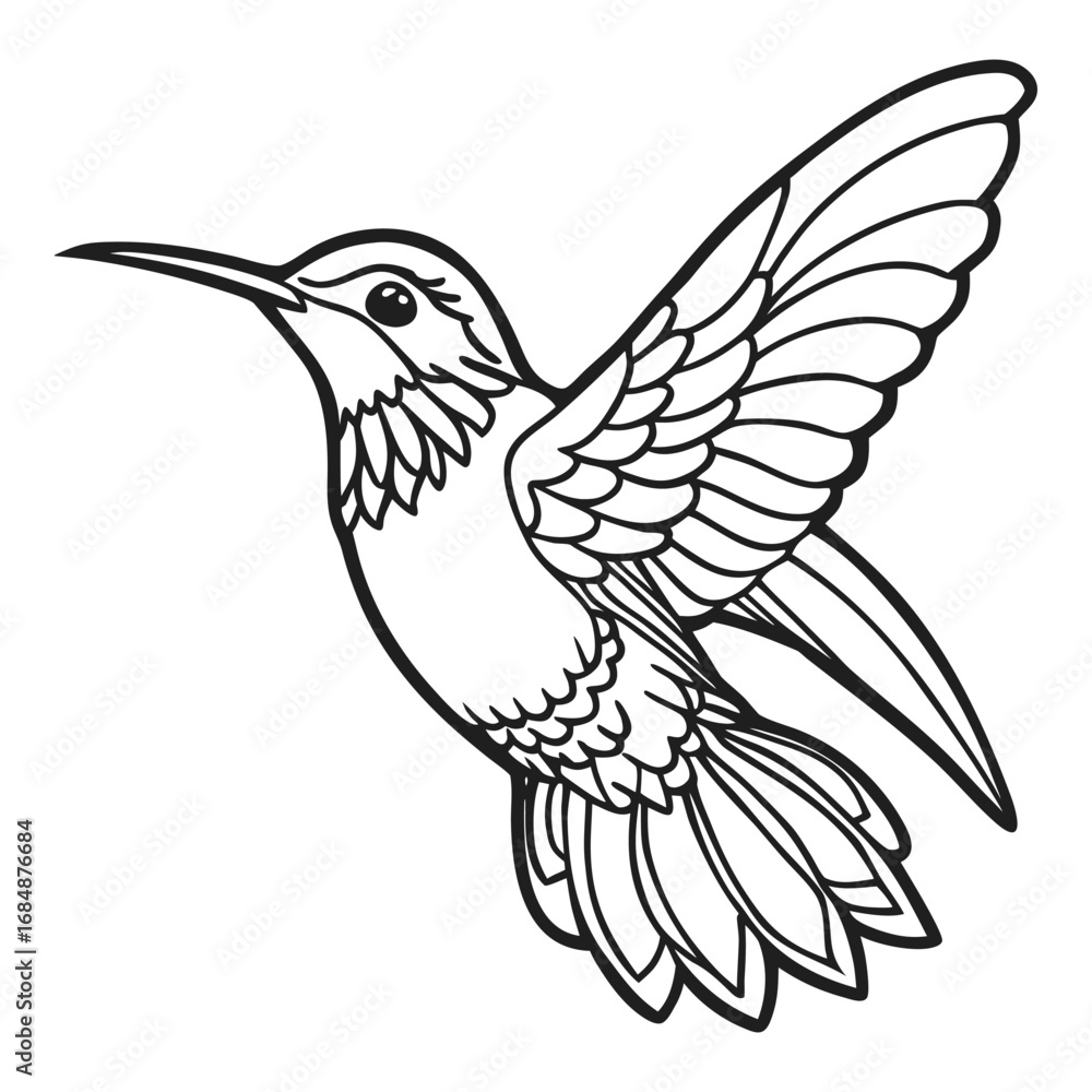 Fototapeta premium Delicate hummingbird in flight detailed line art capturing avian grace and natural beauty for design vector