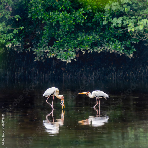 DSC05616.ARW
