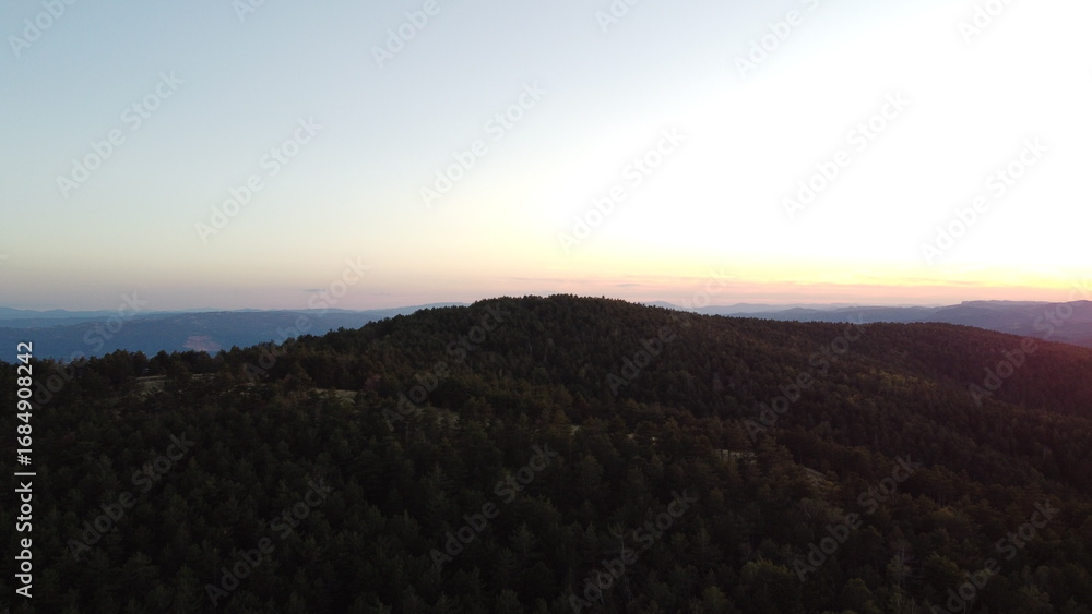 Fototapeta premium Drone aerial view of a dense green pine forest covering a mountain ridge. Scenic natural landscape with endless trees, hills, and distant horizon. Perfect for concepts of wilderness, nature conservati
