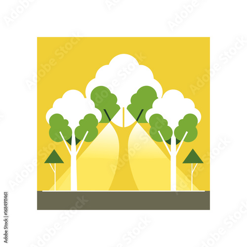 sunlight filtering through the canopy of trees ont