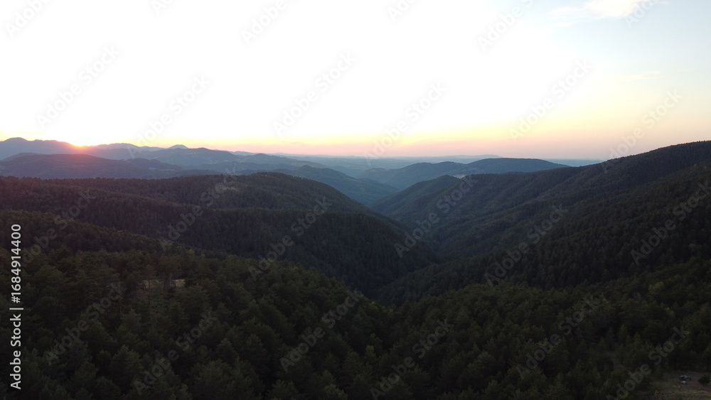 Fototapeta premium Drone aerial view of a dense green pine forest covering a mountain ridge. Scenic natural landscape with endless trees, hills, and distant horizon. Perfect for concepts of wilderness, nature conservati