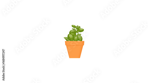 Terracotta pots