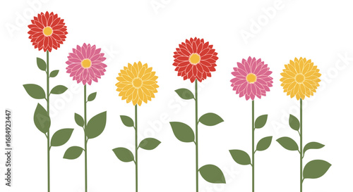 Vibrant garden collection featuring colorful daisy flowers and green leaves on a white background