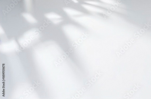 Fototapeta Abstract beautiful shadow on white wall, background for design, presentation