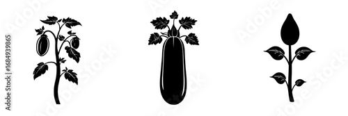 Minimalist black-and-white vector illustration featuring a vegetable plant, a vegetable silhouette, and a flower plant silhouette