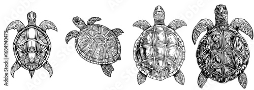 A turtle tattoo featuring Maori tribal ornamentation or a Polynesian and Hawaiian pattern, presented in a modern art style, is a unique design option