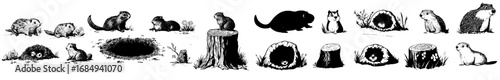 In the forest, bats and hedgehogs reside in cozy holes, while foxes have their homes and owls have their nests