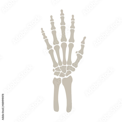 A detailed minimalist 2D flat vector illustration of a human skeletal hand bone structure, rendered with crisp clean lines in an off-white solid color, isolated on a clean white background.