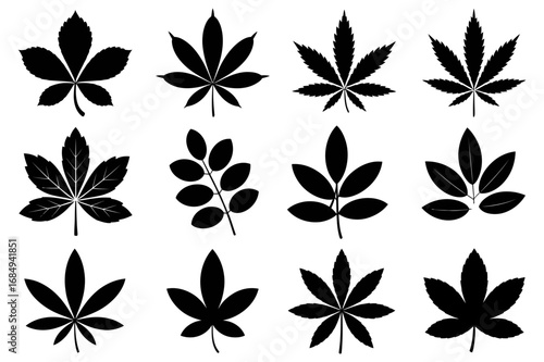 A collection of twelve different leaf silhouettes in a grid pattern against a white background
