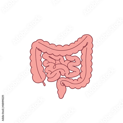 Minimalist 2D flat vector illustration of human intestines, featuring distinct small and large sections with continuous clean lines and light pink solid colors, isolated on white.