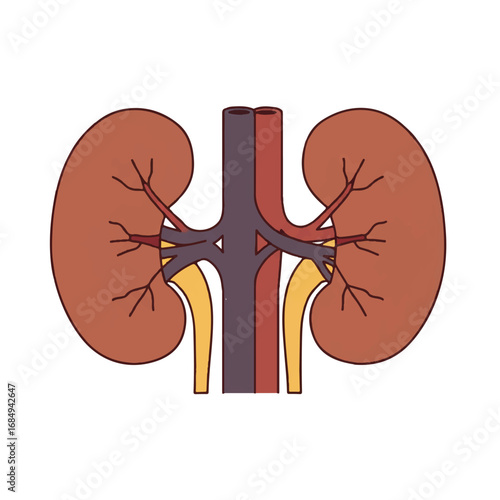 A minimalist 2D flat vector illustration showcases human kidneys and adrenal glands with crisp clean lines, rendered in earthy brown and yellow solid colors, isolated on a clean white background.