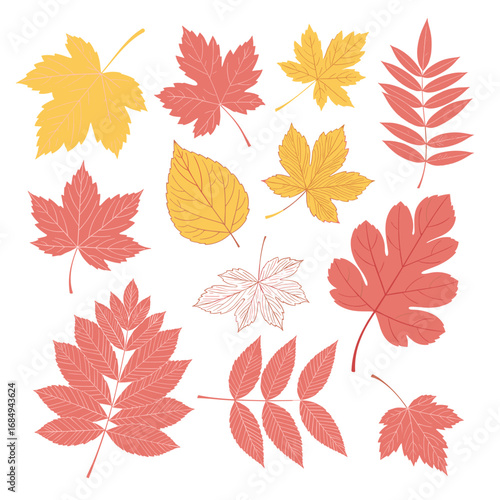 Beautiful collection of autumn leaves in various shapes and warm colors representing the fall season