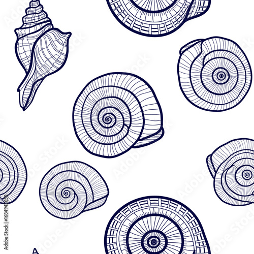 An intricate collection of seashell illustrations showcasing natural geometry and oceanic beauty