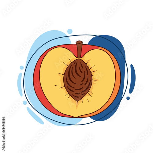 Fresh ripe peach halved revealing its juicy flesh and hard stone core delicious summer fruit illustration
