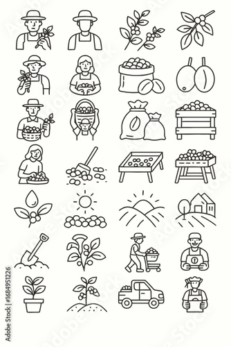 Coffee farming and production process icon set. A visual concept of agriculture, cultivation, and harvesting from plant to bean