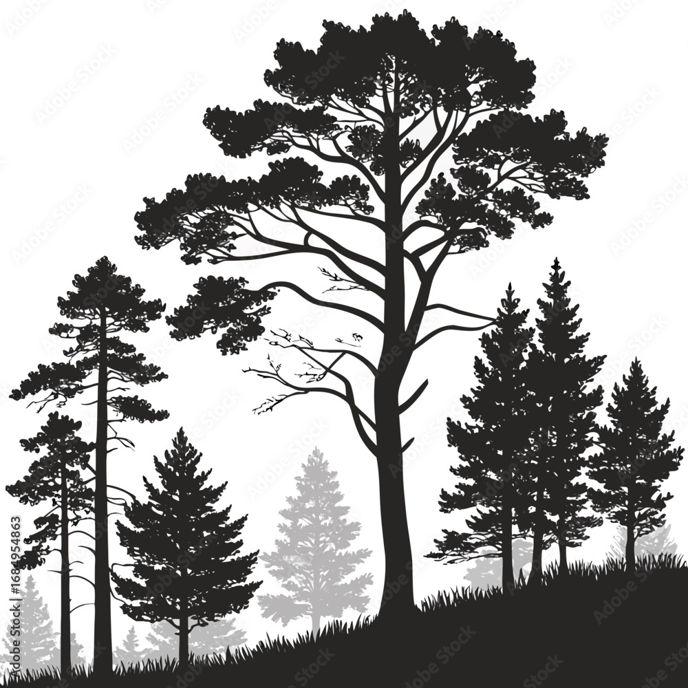 Obraz premium Pine forest vector illustration