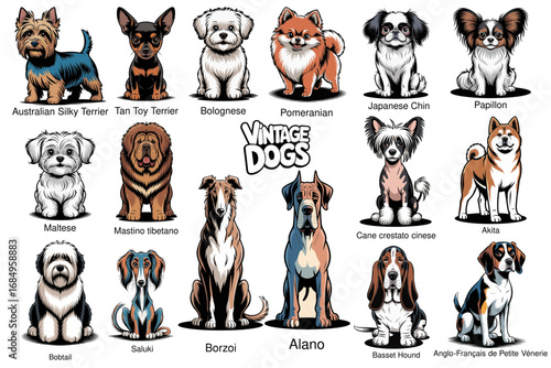 Set di Cani Vettoriali SVG Editabili e Scalabili - Illustrazioni Cartoon Razze Canine Personalizzabili