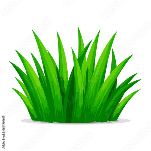 Green grass isolated on white background with fresh leaves and natural growth