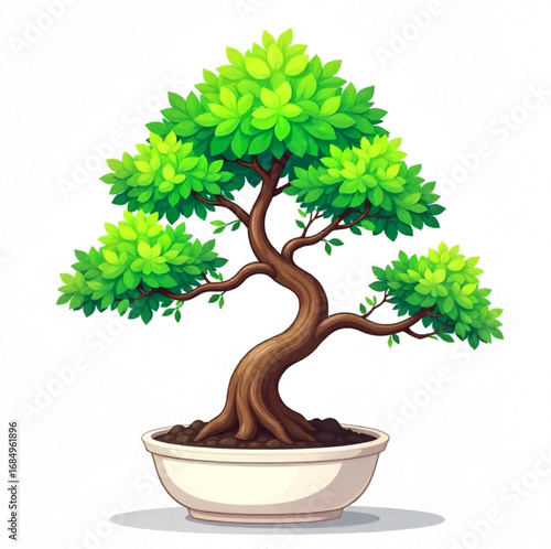 bonsai tree isolated on white