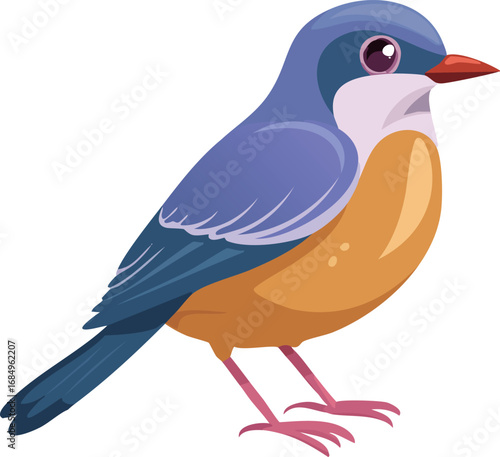 鳥