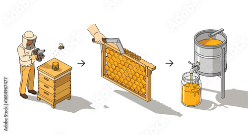 Beekeeping honey production process isometric vector illustration steps beekeeper beehive honeycomb jar sweet natural organic yellow