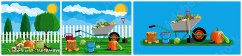 Horizontal banner of fresh garden vegetables, harvest, and garden tools. Organic food and farming concept, set of agriculture elements.