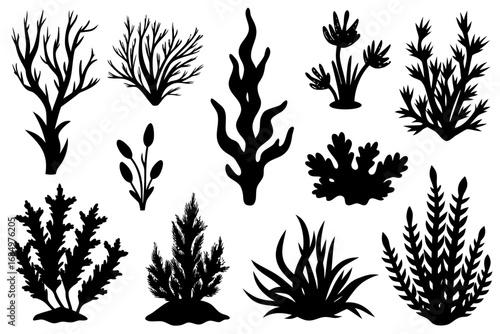 set of algae black silhouette  vector ,algae icon set