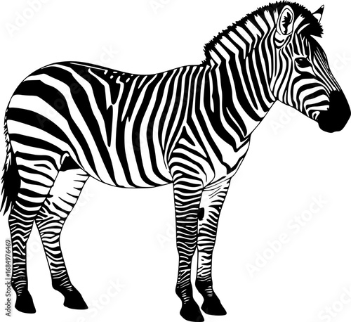 Striking black and white zebra standing profile view in a bold graphic silhouette style
