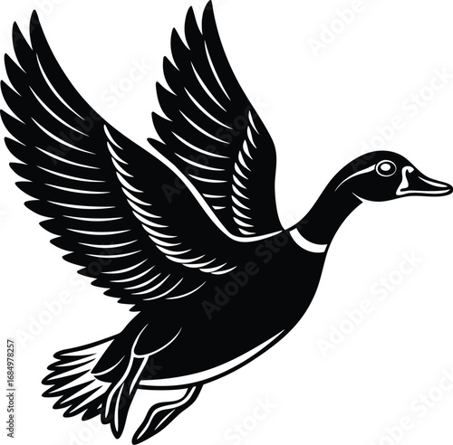 Black and White Silhouette of a Flying Mallard Duck with Open Wings