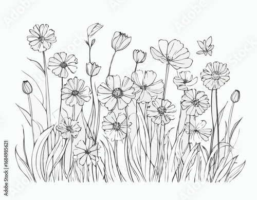 Part of field wild flowers sketch hand drawn sketch in doodle style Vector illustration