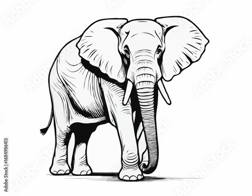 Elephant standing hand drawn engraving style sketch Vector illustration.