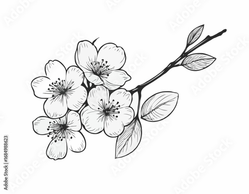 Cherry blossom sketch hand drawn in doodle style illustration
