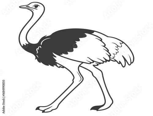 ostrich cartoon isolated on white