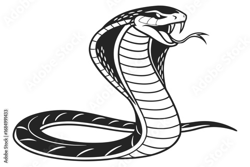 Majestic Cobra Illustration Striking a Pose with Hood Extended and Fangs Bared in a Stylized Black and White Design