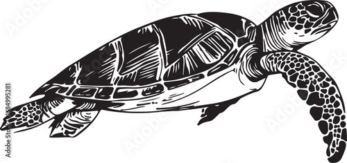 Majestic Sea Turtle in Black and White Detailed Illustration of Marine Wildlife Conservation and Ocean Life