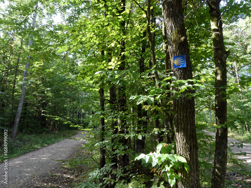 Abschnitt Bamberg bis Reundorf