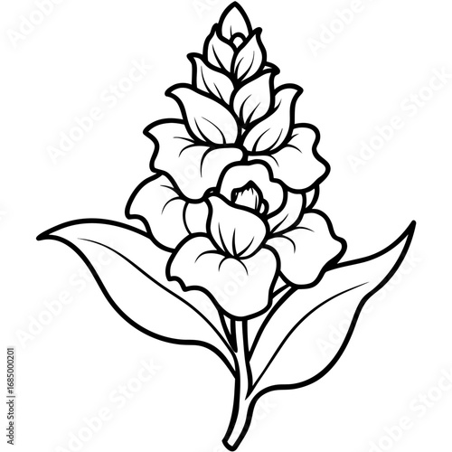 Snapdragon Bloom Vector Art