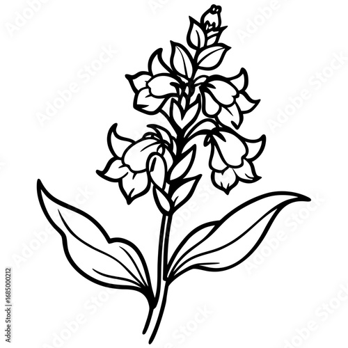 Snapdragon Bloom Vector Art
