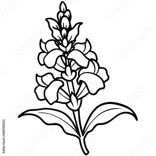 Snapdragon Bloom Vector Art