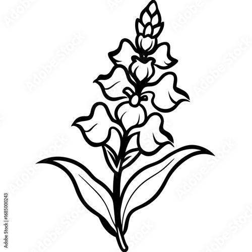 Snapdragon Bloom Vector Art
