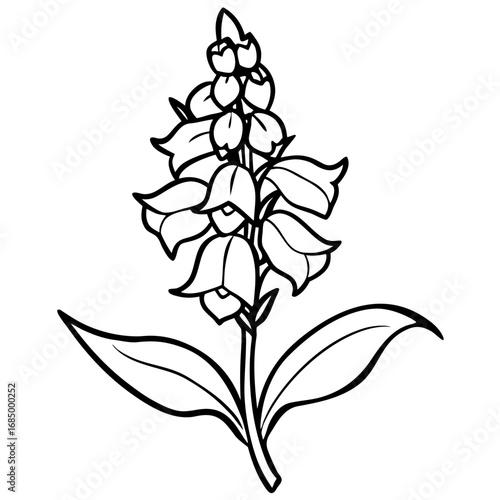 Snapdragon Bloom Vector Art