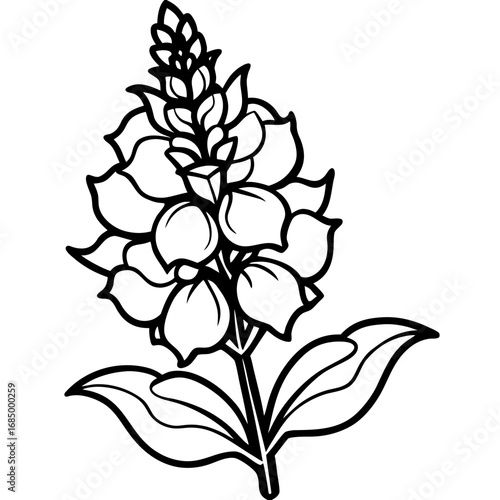Snapdragon Bloom Vector Art