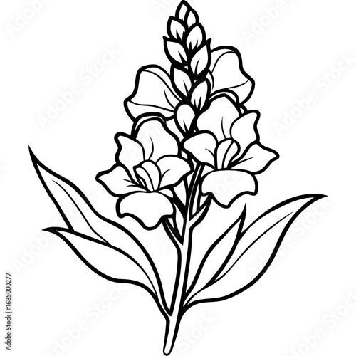 Snapdragon Bloom Vector Art