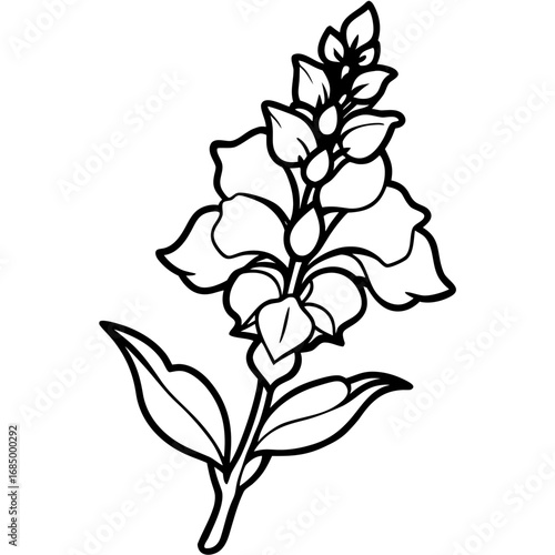Snapdragon Bloom Vector Art