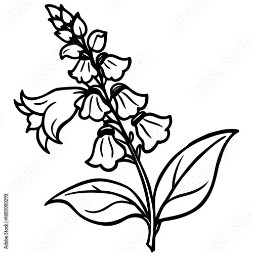 Snapdragon Bloom Vector Art