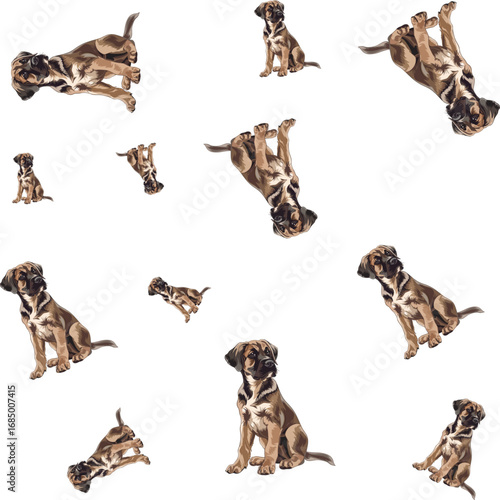 Brown puppies in various playful poses on white background puppy animal